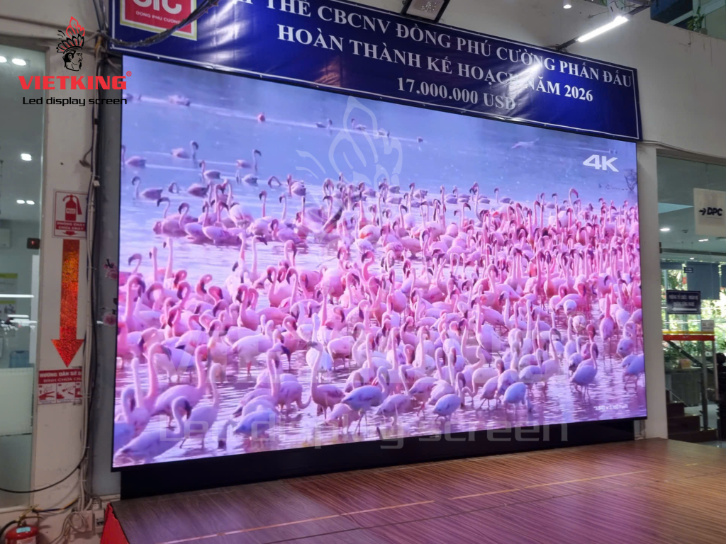 Màn hình LED P2 trong nhà hiển thị sắc nét tại công ty Phú Cường
