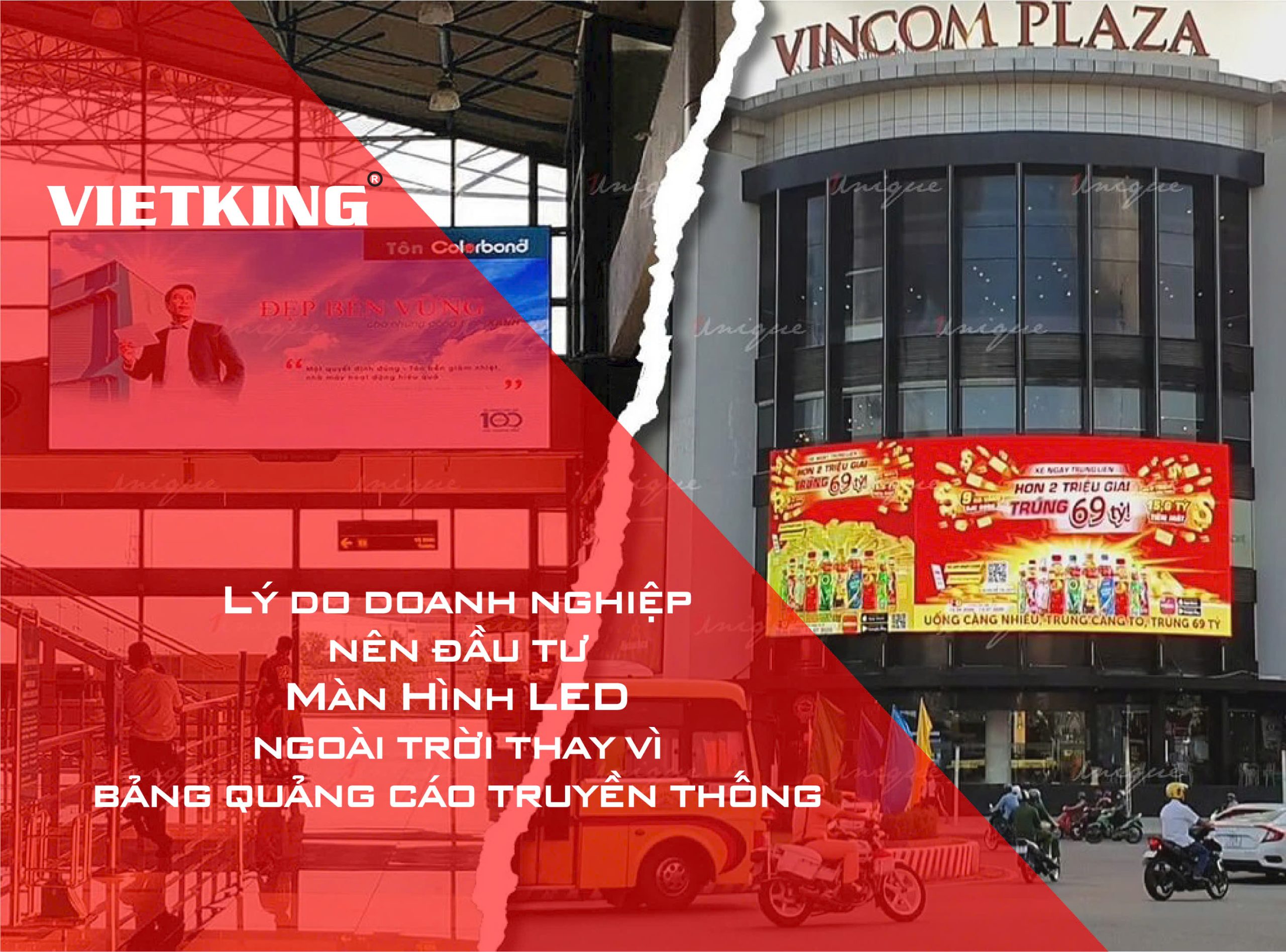 ledvietking