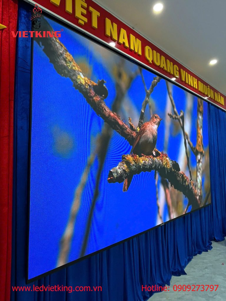 Cận cảnh màn hình LED indoor P2.5 hiển thị hình ảnh sắc nét