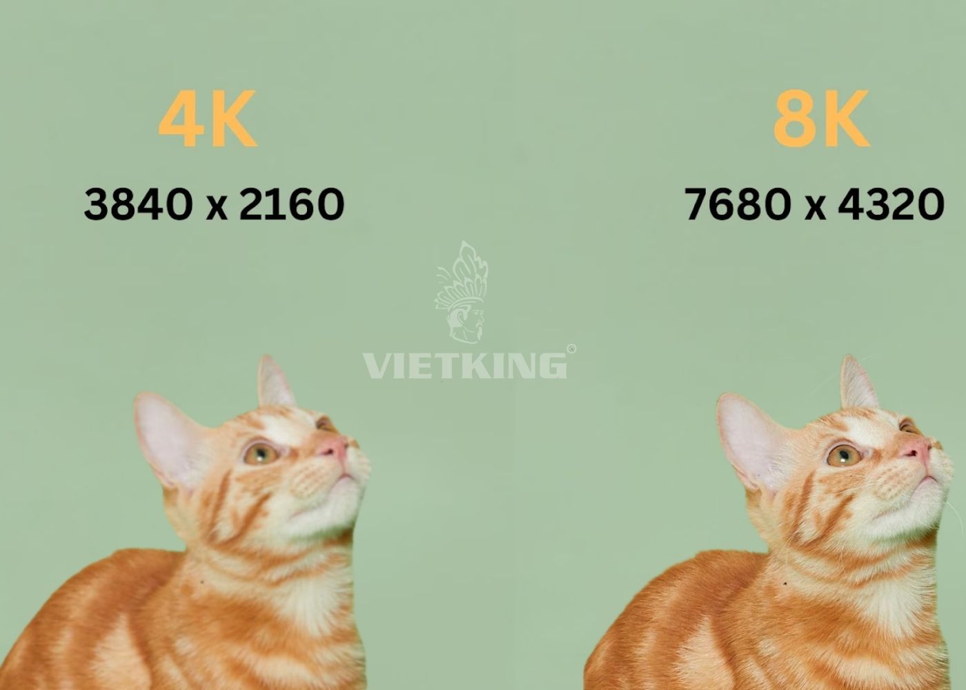 Nên chọn màn hình LED 4K hay 8K?
