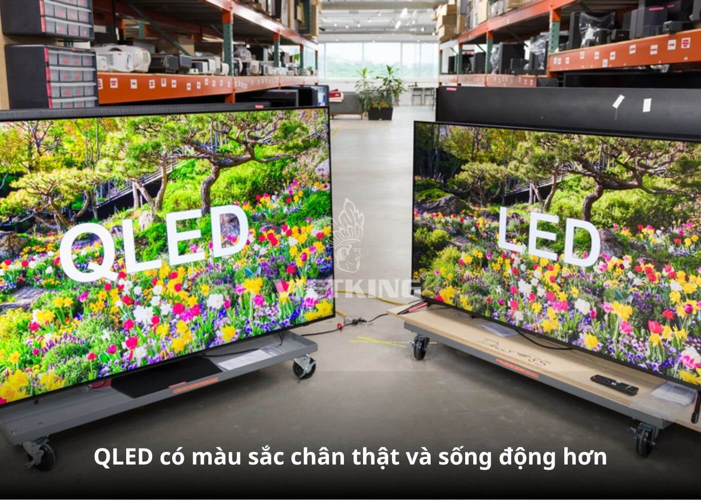 So sánh màn hình LED ghép hội trường và QLED về màu sắc