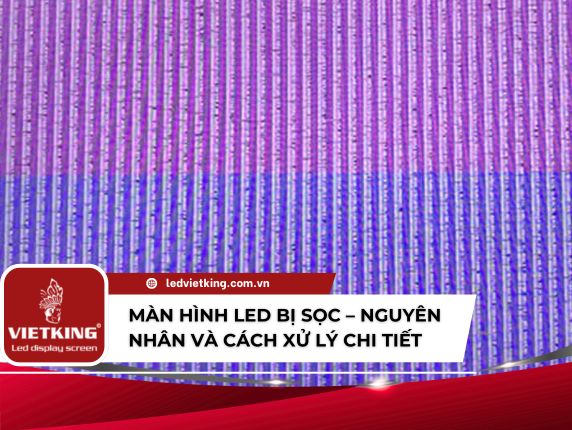ledvietking